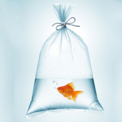 Fischbeutel 600 x 1500 mm, 1 Stk. 