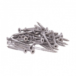 Teich-Umrandungsband Inox Schrauben 50 Stk. inkl. Torx Einsatz ( T20 )