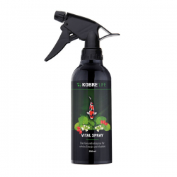Kobre®Life Vital Spray das Gesundheitsspray für erhöhte Vitalität