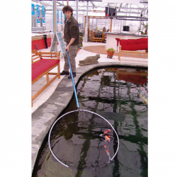 Kescher 80cm, Teleskopstiel 190-360cm 