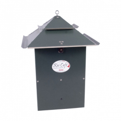 Futterautomat Koi Cafe grün  